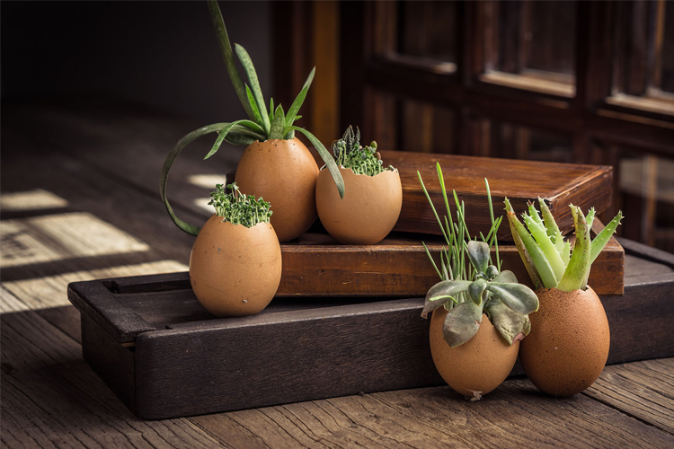 Bahçeniz İçin 'Kendin Yap' Fikirleri